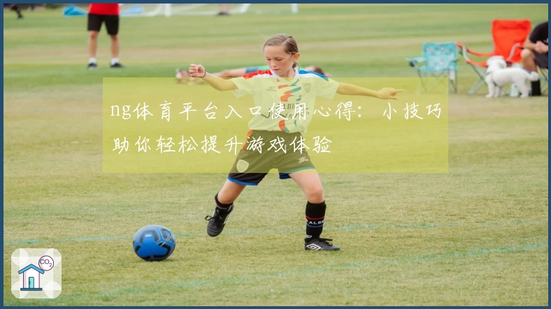 ng体育平台入口使用心得：小技巧助你轻松提升游戏体验