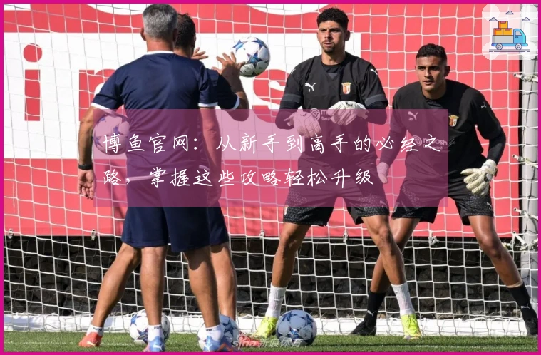 博鱼官网：从新手到高手的必经之路，掌握这些攻略轻松升级
