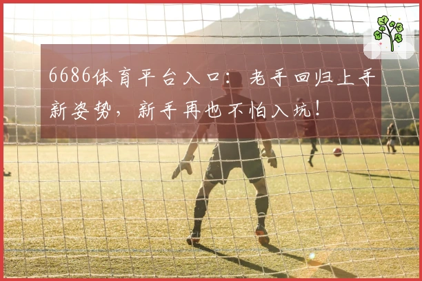 6686体育平台入口：老手回归上手新姿势，新手再也不怕入坑！
