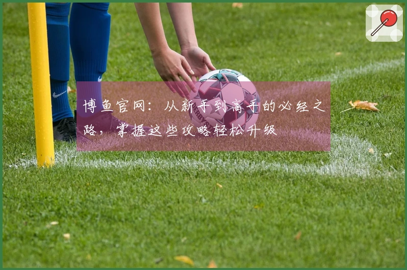 博鱼官网：从新手到高手的必经之路，掌握这些攻略轻松升级