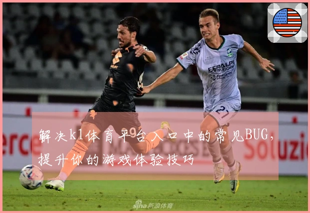 解决k1体育平台入口中的常见BUG，提升你的游戏体验技巧