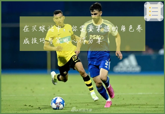 在买球站中，你需要掌握的角色养成技巧与策略心得分享